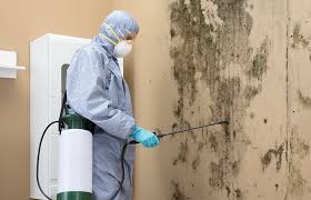 Best Comprehensive Air Testing for Mold Contaminants  in Queens Gate, PA